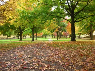 Dearborn County Parks & Recreation