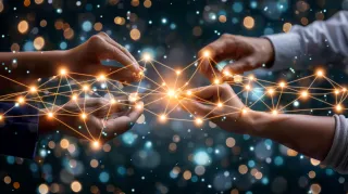 Leadership Wisdom: Survival Tactics for Resilient Nonprofits
