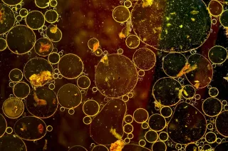 How Does Wastewater Treatment Work?