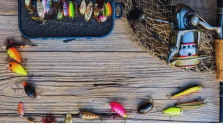 How to Plan a Successful Fishing Trip Using AI-Powered Tools