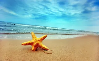 How to Create a Healthy Holiday Mindset