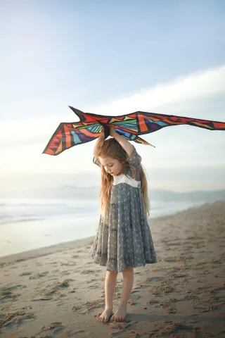 Flying High: A Kite, A Memory & A Shift in Perspective