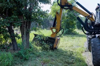 Benefits of Regular Land & Brush Clearing