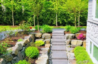 Discover the Most  Useful Tips for Planting New Trees