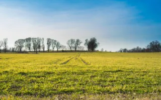 Land & Brush Clearing Guide for Property Owners