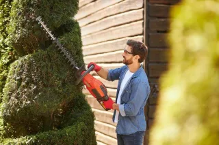 Seasonal Tree Trimming Guide for Sioux City Homes