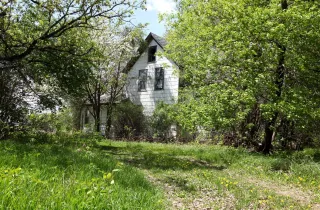 Taming Yard Brush in Sioux City