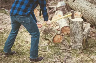 Why DIY Tree Removal Can Be Dangerous For Homeowners