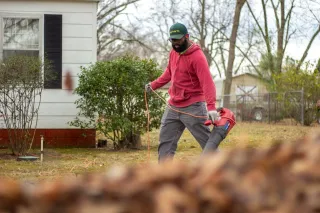 What To Clear From Your Property Before Tree Removal Day