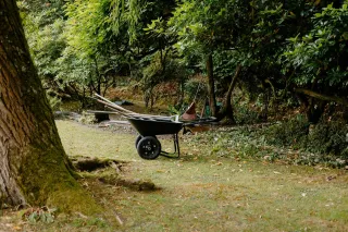 How Land Clearing Now Prevents Problems When Snow Arrives