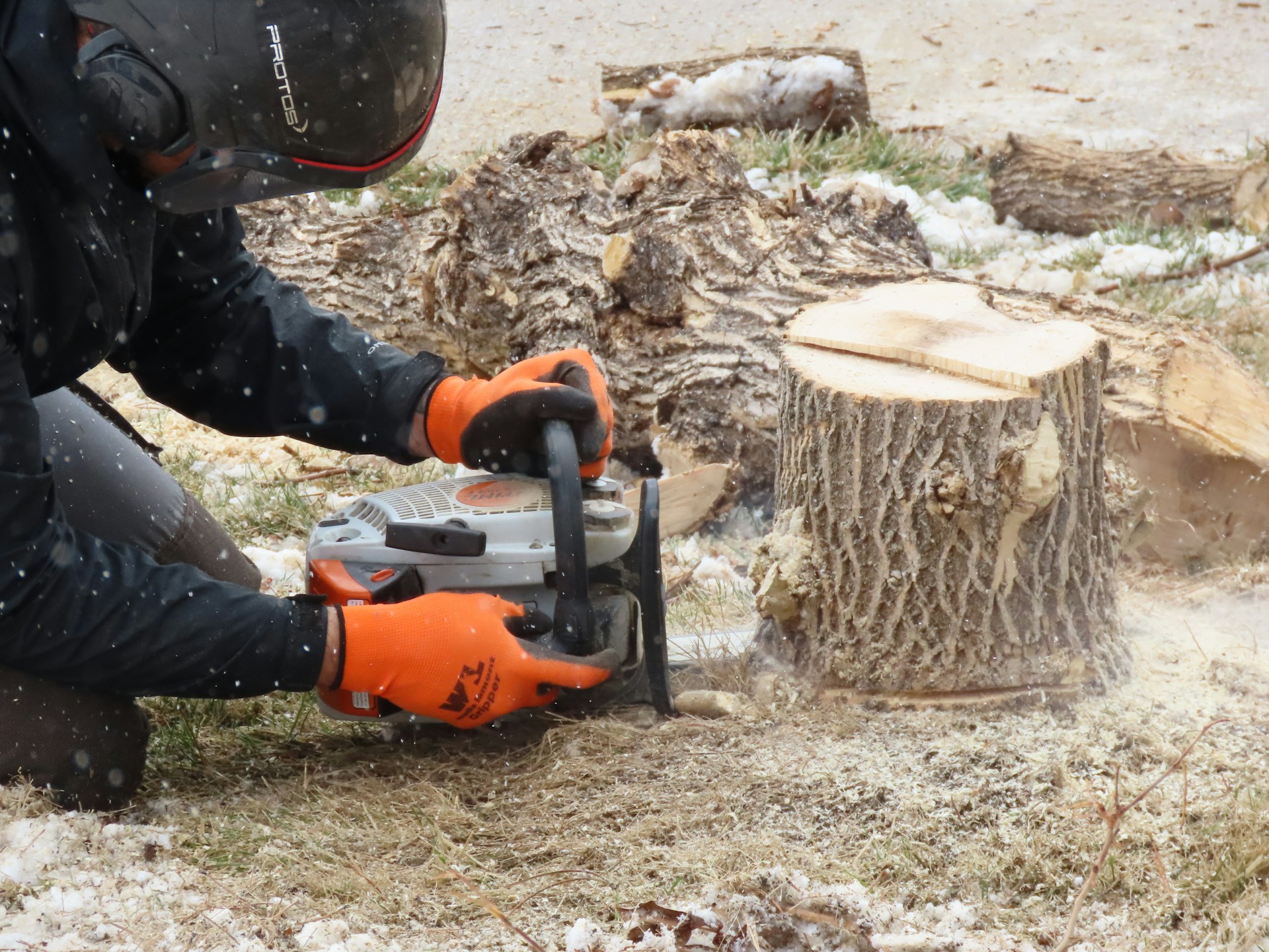 The Best Time for Stump Grinding In Sioux City