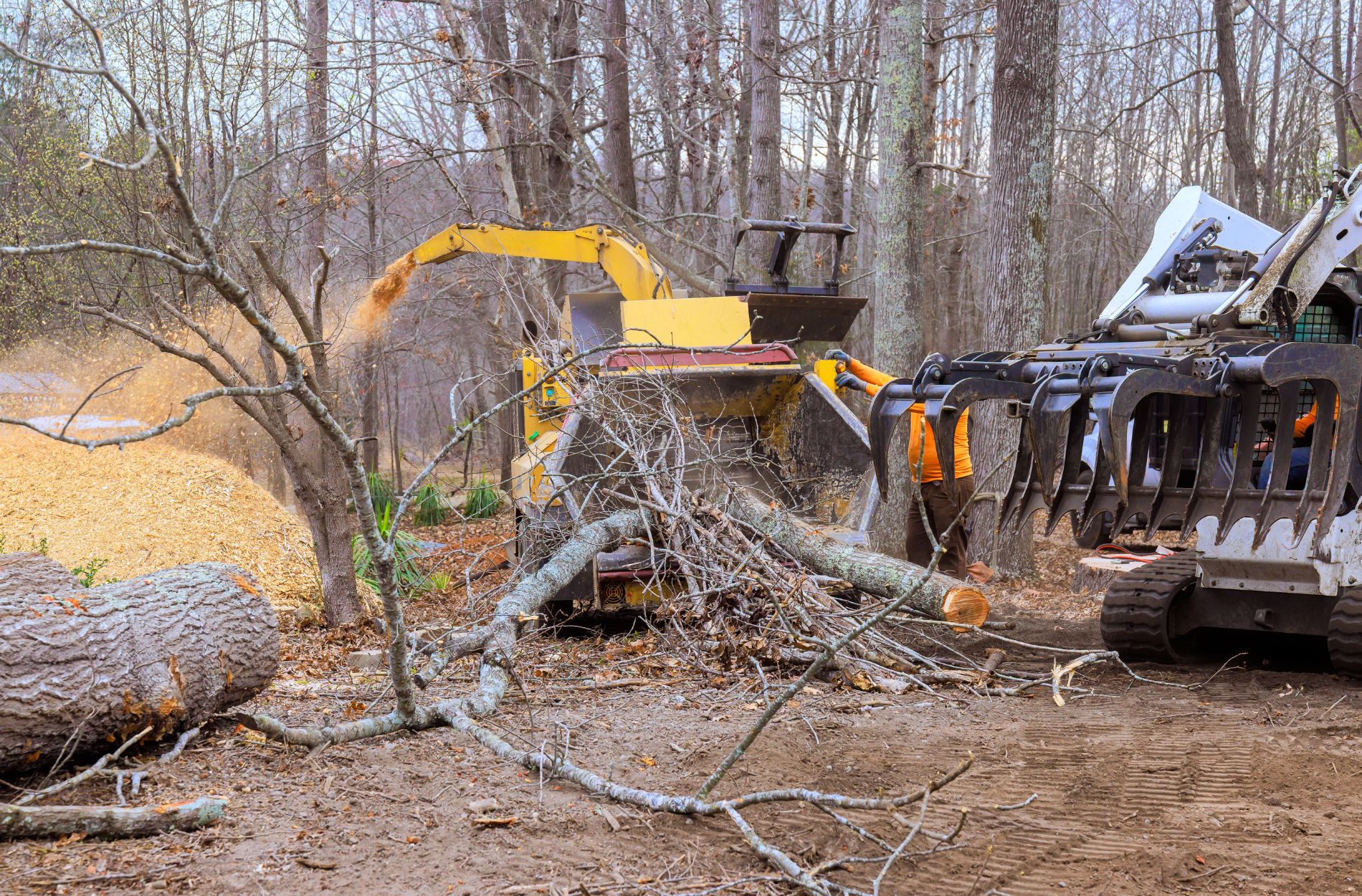 What To Know About Land Clearing Before Spring