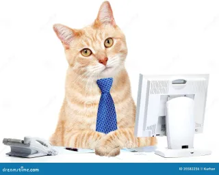 Five bookkeeping tips for small business owners