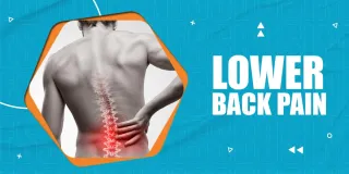 Back Pain Specialist White Plains: Navigating a Pain-Free Future