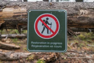 Peeling Back the Layers: How Restoration Coaching Can Transform Your Life