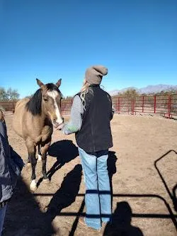 The Many Benefits of Equine Assisted Learning & Coaching