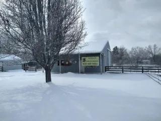 Horse Care During Extreme Winter Conditions