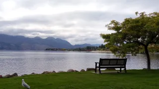 How To Use Canva To Create A Family Legacy Video For Father's Day