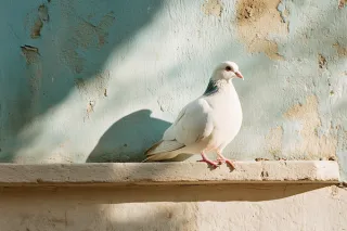 Presence as Proof: How the Holy Spirit Confirms What You're Called to Do