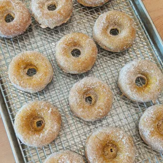 Baked Pumpkin Cinnamon Sugar Donuts
