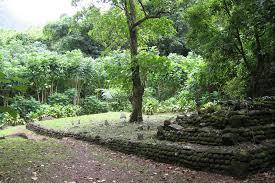 Sentier des Ancêtres à Moorea : randonnée facile au cœur du patrimoine polynésien