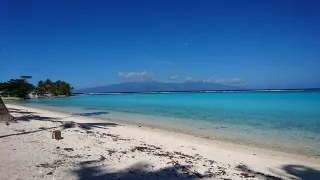 🌴 Plage de Temae à Moorea : le joyau du snorkeling et du farniente 🐠