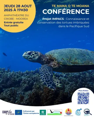 🌿✨ Conférence exceptionnelle sur les tortues marines à Moorea 🐢🌊