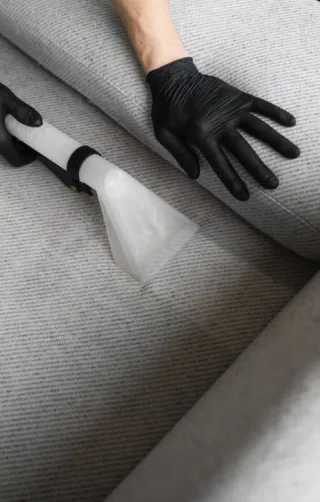 Professional PetStain and Odour Removal Services That Work: Guaranteed Solutions for Dog and Cat Urine in London