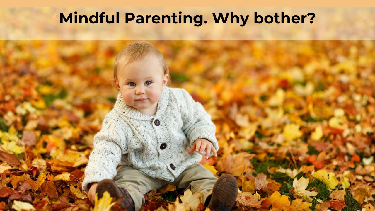 Mindful Parenting: Why Bother?