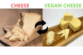 Come sostituire il formaggio per vegani?