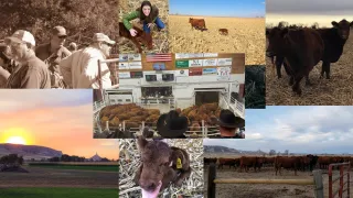 From Cattleman to Cat Dad: The End of an Era and the Start of the Next Chapter