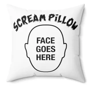 Today’s Random Thought: When Did Everyone Start Caring About Pillows?