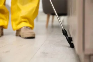 How To Choose The Right Pest Control Company
