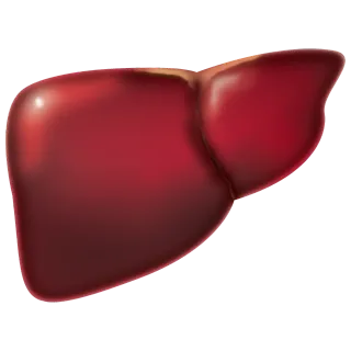 Soda and Fatty Liver