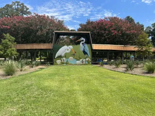 🐅 Wild Adventures Await at the Louisiana Purchase Gardens and Zoo