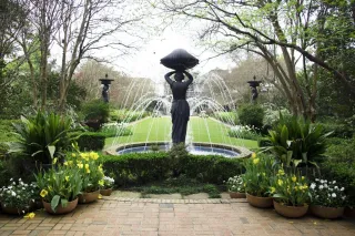 🌿Discover the Hidden Oasis of Monroe: The ULM Botanical Gardens