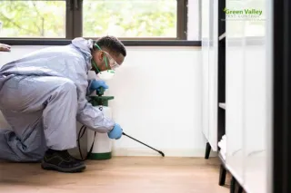 How to Ensure Peace of Mind When Hiring Pest Control Services