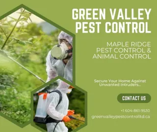 Top 4 Mistakes You Should Avoid When Hiring a Pest Control Company