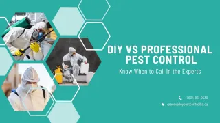 DIY vs Professional Pest Control: When to Call in the Experts