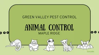 Animal Control Challenges: A Glimpse into the Lives of the Professionals