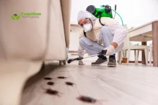 Is Commercial Pest Management Right for Your Business?