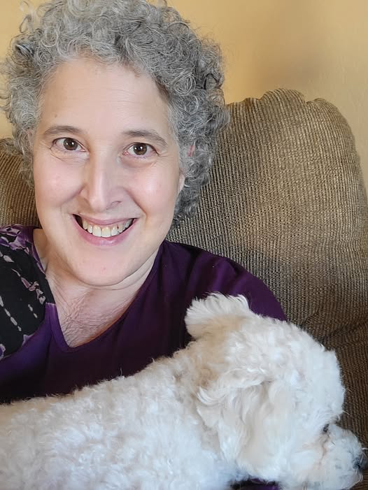 Phases of Healing from Lyme, Mold & CIRS