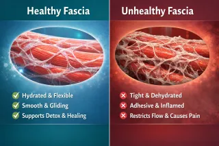 Fascia, Mold Illness, Lyme & CIRS: The Missing Link in Healing