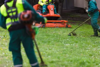 Comprehensive Lawn Care Services in Mason City: Mowing, Trimming & Edging