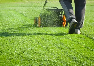 Affordable Lawn Care Packages for Mason City Residents