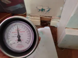 What Your Damp Survey Should Include (and Why It Matters)