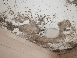 A Landlord’s Guide to Awaab’s Law and Damp-Related Compliance