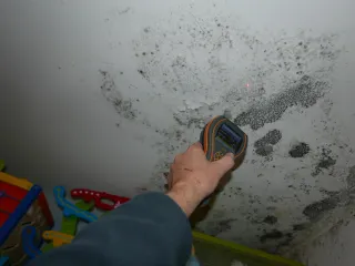Tenant or Property? Understanding the Root Causes of Damp and Mould