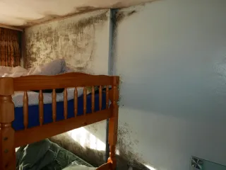 The Role of Data Loggers in Tackling Damp and Condensation