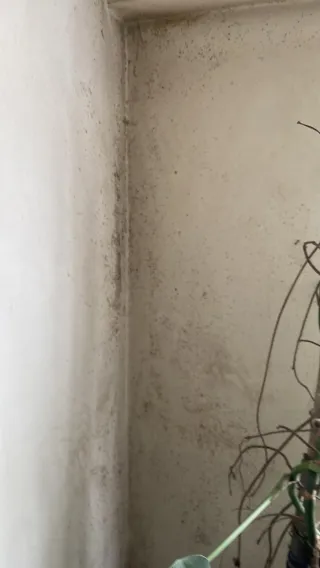 The Science Behind Condensation: How Psychrometrics Can Save Your Property